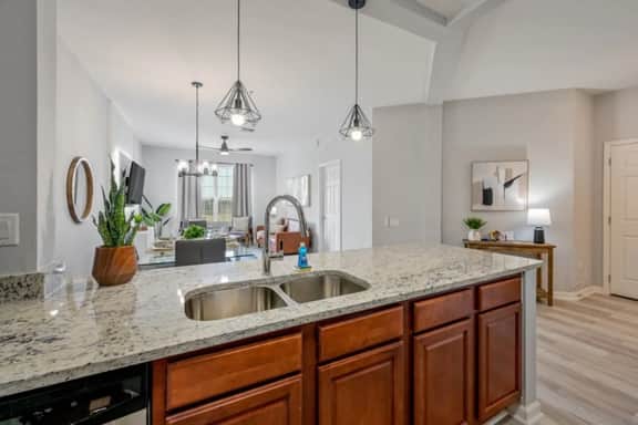 IS2-310 - New Listing - Near All Major Attractions
